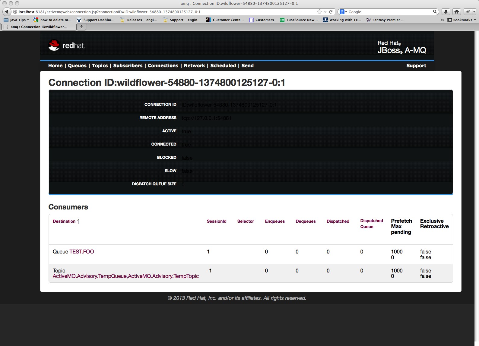 [ENTMQ372] Background and the text on the connection information